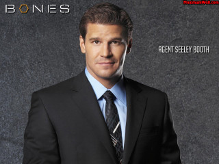 Dan scott man suit tie - a wall behind free wallpaper for desktop