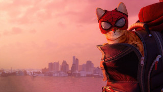 Cat spider man backpack city - alton tobey free wallpaper for desktop