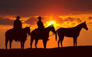 Sunset horses silhouettes western matte - horseback free wallpaper