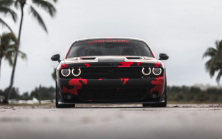 Red camo car palm trees - dom qwek free wallpaper for desktop