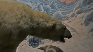 Polar bear museum exhibit penguin - damien hirst free wallpaper for desktop