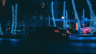 Car palm street synthwave neon - drew tucker free wallpaper for desktop