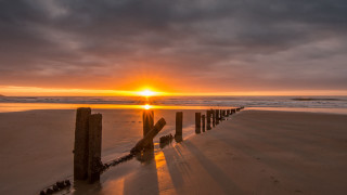 Sunset beach wooden fence dusk - crepuscular free wallpaper