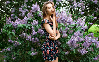 Eszter mattioni purple flower bush - a bush free wallpaper