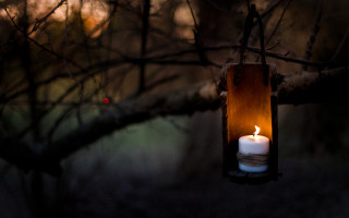 Lit candle hanging lantern forest - lantern free wallpaper
