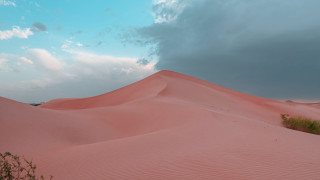 Large sand dune bush cloudy - a cloudy sky in the background free wallpaper for desktop