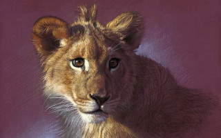 Lion cub closeup purple background - in gouache free wallpaper