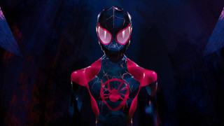 Man red black spiderman mask - his face and chest free wallpaper for desktop