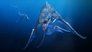 Large fish long neck sharp - large tooth free wallpaper