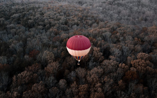 Red white balloon autumn forest - douglas shuler free wallpaper