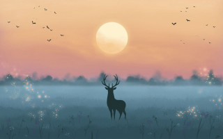 Deer sunset field birds mountain - a deer free wallpaper