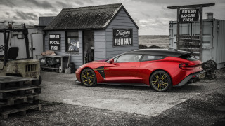 Red sports car fresh fish - fresh free wallpaper