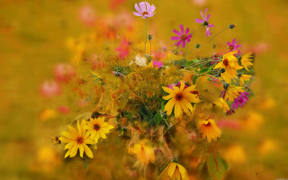 Flowers grass blurry autumn butterfly - impressionist painting free wallpaper