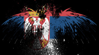 Bird crown red wings painting - a painting of a bird free wallpaper