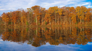 Autumn lake reflections forest sky - a lake free wallpaper