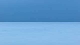 Lone bird blue surface sky - minimalist free wallpaper