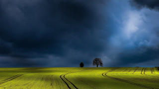 Stormy field tree clouds horizon - a few cloud above free wallpaper