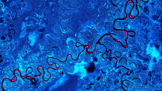 Blue red swirls starry sky - vibrant color line free wallpaper