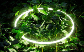 Light circle green leaves night - the leaf free wallpaper