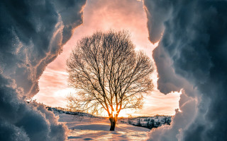 Snowy tree sunset cityscape clouds - a sunset in the background free wallpaper for desktop