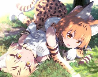 Girl cheetah laying grass field - ayo free wallpaper for desktop
