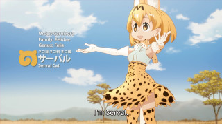 Woman cheetah outfit field cat - her shoulder and a cat free wallpaper