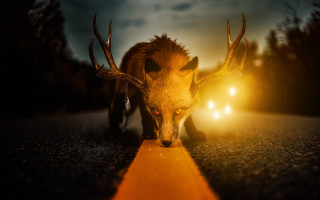 Deer antlers night road car - ultra realistic digital art free wallpaper