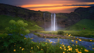 Waterfall yellowflowers greenvalley impressionist nature - a waterfall in the background free wallpaper for desktop