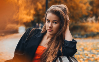 Woman ponytail bench park autumn - a ponytail free wallpaper