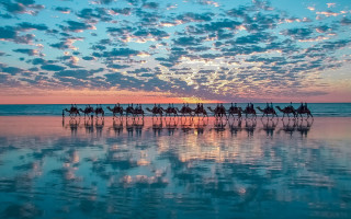 Horse riding water sunset beach - a group of people riding free wallpaper for desktop