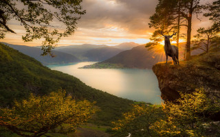 Deer cliff lake mountains sunset - a lake and mountains free wallpaper