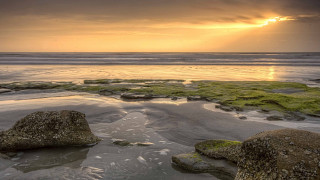 Beach rocks grass sunset cloudy - rock and grass free wallpaper for desktop
