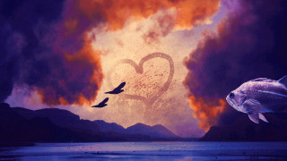 Heart fish bird lake cloud - cyril rolando free wallpaper