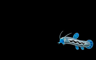 Blue white fish floating black - fish free wallpaper for desktop