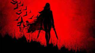 Woman walking birds red sky - a flock of birds free wallpaper