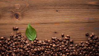 Green leaf coffee beans wooden - cao zhibai free wallpaper