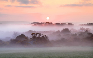 Foggy field trees sunset mountain - a foggy field free wallpaper