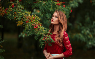 Woman red dress berry tree - anna hotchkis free wallpaper
