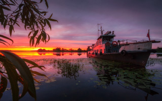 Boat sunset water leaves city - the foreground and a body of water free wallpaper for desktop