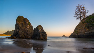Beach rock formation tree sunset - a clear sky free wallpaper