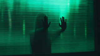 Hands window green blinds elfsa - elsa bleda free wallpaper