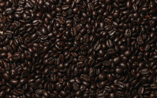 Coffee beans white brown borders - a pile of coffee beans free wallpaper