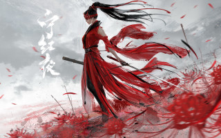 Woman red dress sword flower - chen chun free wallpaper