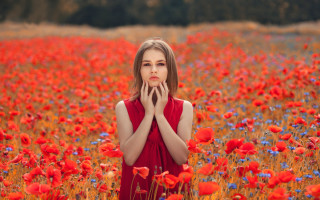 Woman red flower field autumn 2 - anka zhuravleva free wallpaper