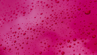 Pink water drops sky closeup - a sky in the background free wallpaper for desktop