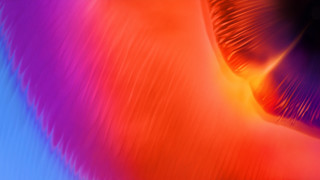 Colorful blurry face neck generative - affinity photo free wallpaper for desktop