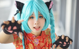 Blue haired girl cat ears - cosplay free wallpaper for desktop