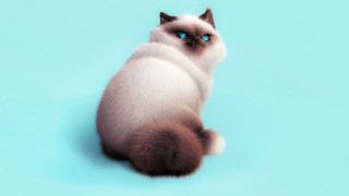 Blue eyed white cat curled - ultra realistic digital art free wallpaper