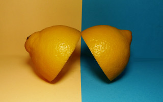 Two oranges blue yellow background - two orange free wallpaper