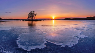 Sunset frozen lake lone tree - a sunset over a free wallpaper
